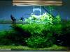 ADA 45p